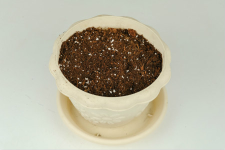 咖啡渣用来养花的6种实用方法