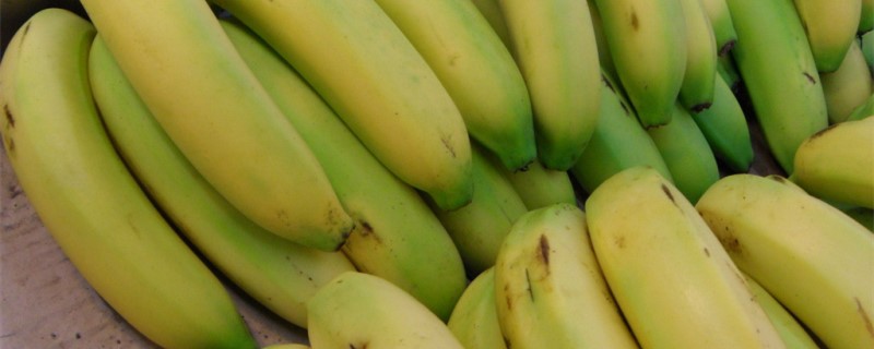 香蕉的种子是什么样的