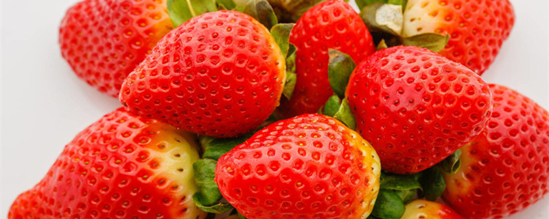 草莓生长周期