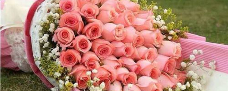 33朵粉玫瑰花语是什么