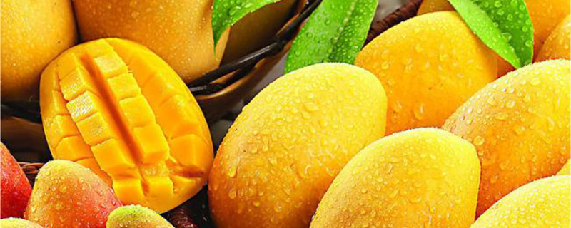 吃芒果的季节