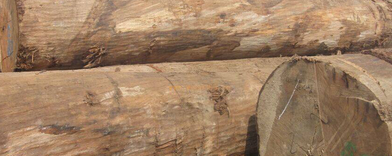 木材如何防腐