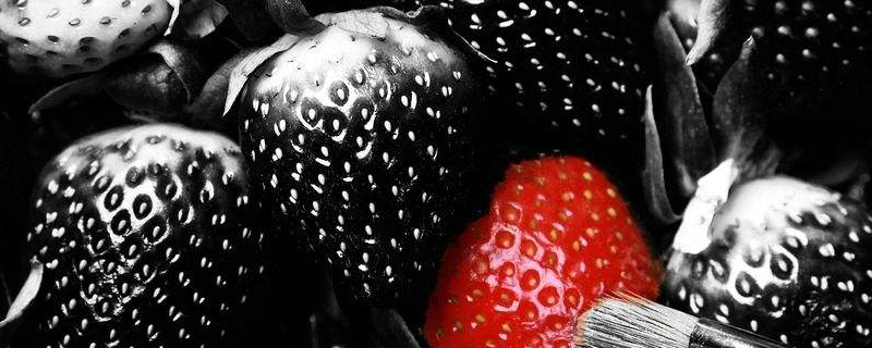 黑草莓介绍