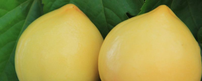 黄油桃品种有什么