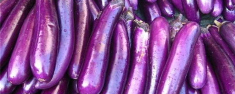 紫颜色的蔬菜