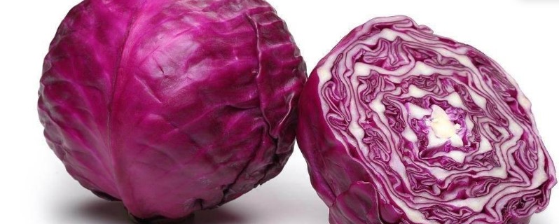 紫色的菜叫什么
