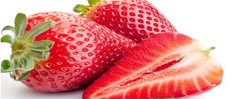 草莓怎么水培