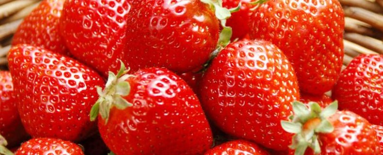 营养土可以种草莓吗
