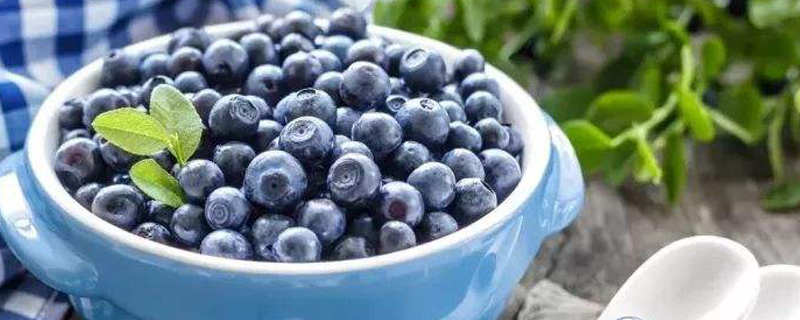 蓝莓上市季节