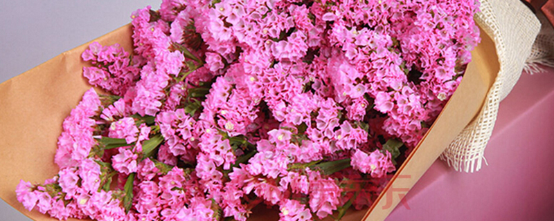 花店里常见的花及花名