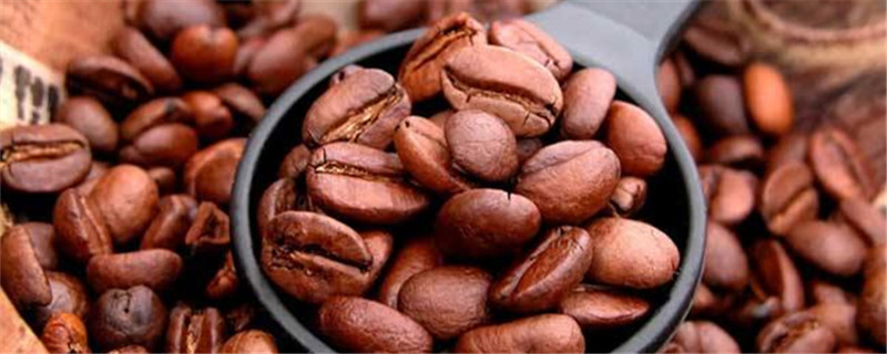 咖啡豆是什么植物