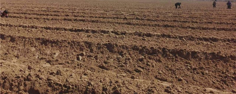 自制沙壤土的方法