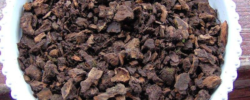 柳树皮水泡几天能浇花