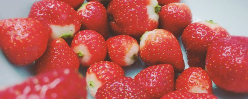 红玉草莓的特点