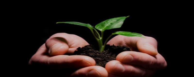 家庭养花土壤消毒的五种方法