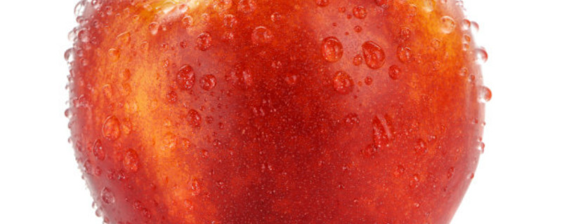 油桃是什么季节的水果