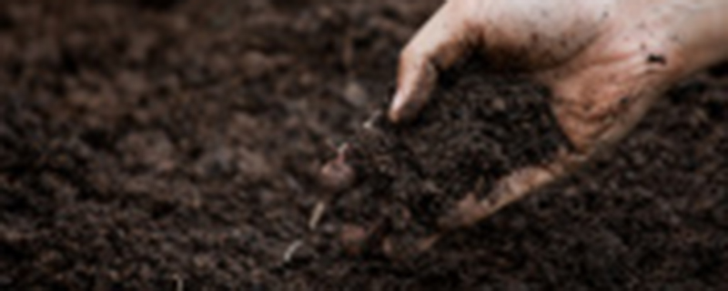 土壤板结影响植物生长的主要原因