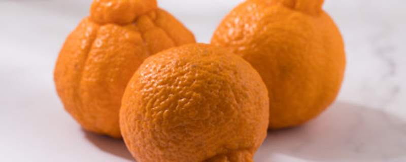 丑橘和橘子的区别