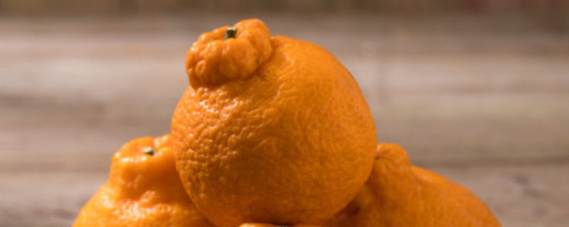 粑粑柑是丑橘吗