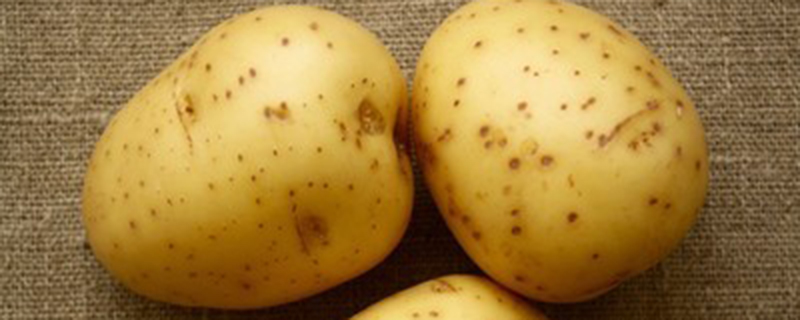 种的土豆为什么发青了