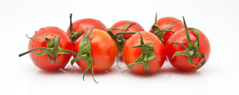 自己种的西红柿怎么不结果