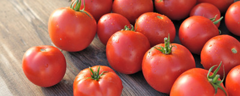 西红柿需要人工授粉吗