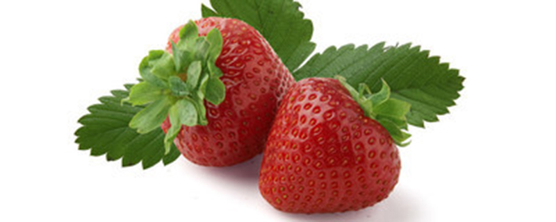 自己种的草莓为什么小