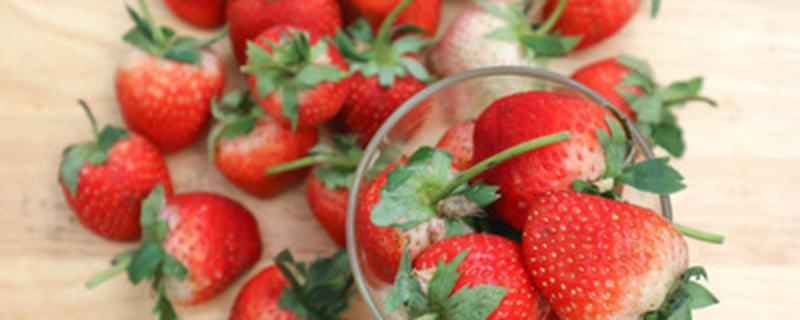 种草莓怎么防治蚂蚁