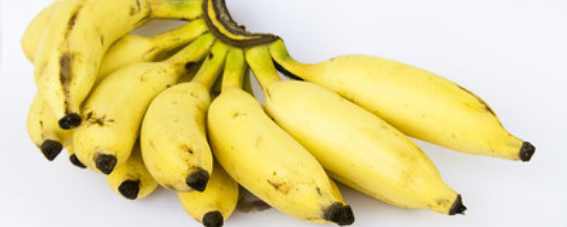 香蕉皮水可以浇哪些植物