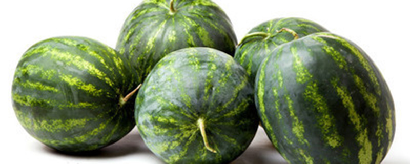 一个西瓜里只有一颗能发芽的种子吗
