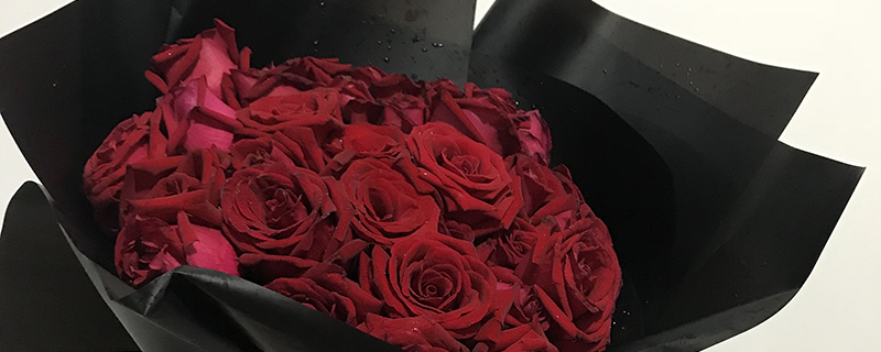 红色玫瑰花的寓意和花语