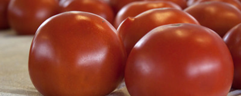西红柿需要掐尖吗