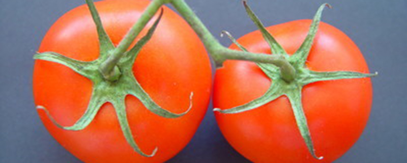 西红柿一般留几穗果好
