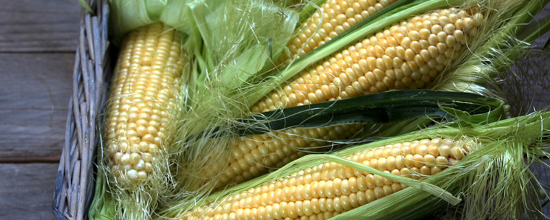爆米花的玉米能当种子种吗
