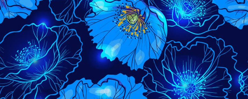 蓝色罂粟花花语是什么