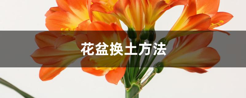 花盆换土方法