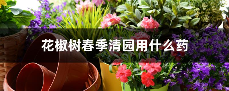 花椒树春季清园用什么药