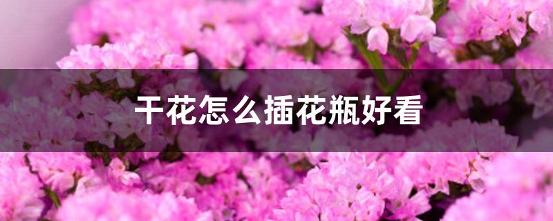 干花怎么插花瓶好看