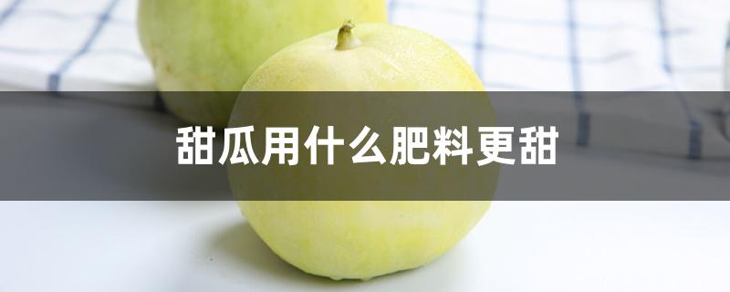 甜瓜用什么肥料更甜