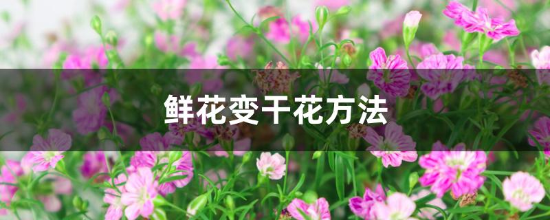 鲜花变干花方法