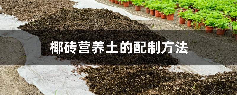 椰砖营养土的配制方法