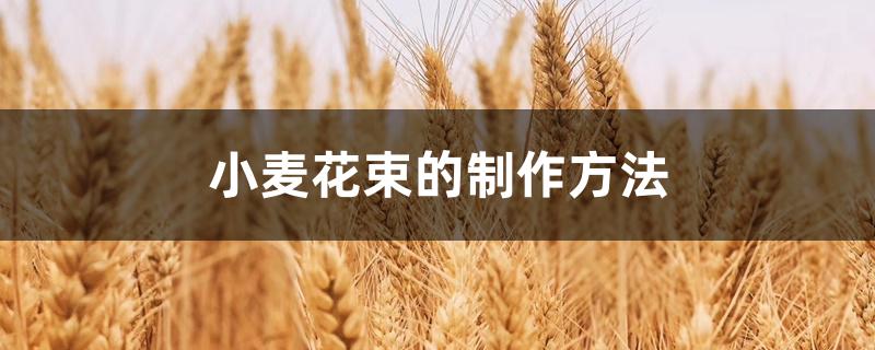 小麦花束的制作方法