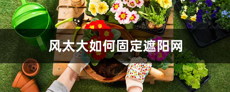 风太大如何固定遮阳网