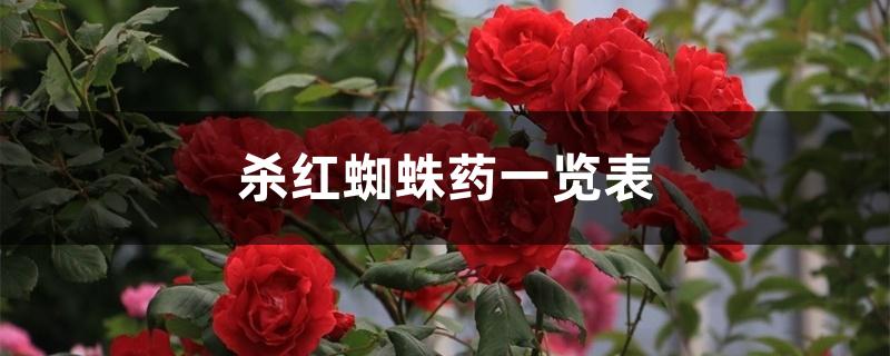 杀红蜘蛛药一览表