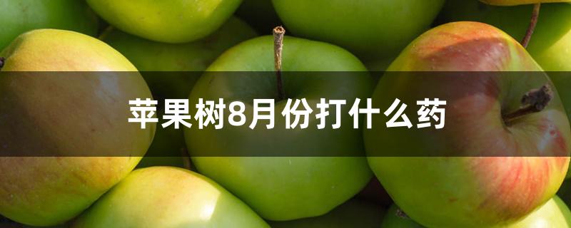 苹果树8月份打什么药