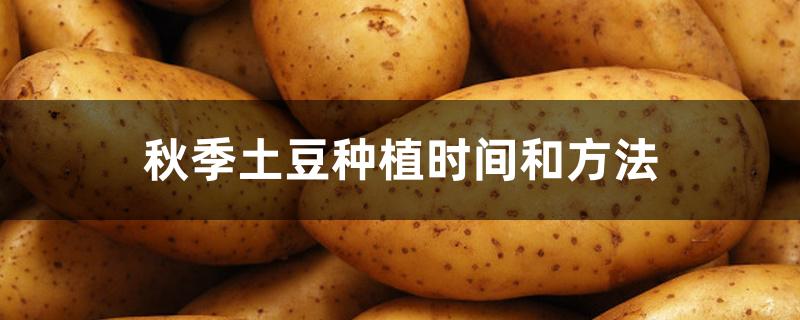 秋季土豆种植时间和方法