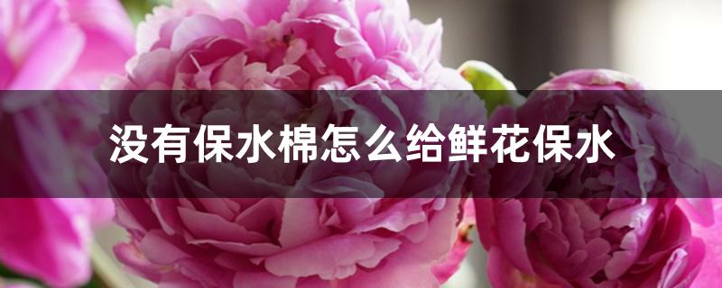 没有保水棉怎么给鲜花保水