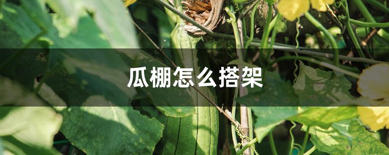 瓜棚怎么搭架