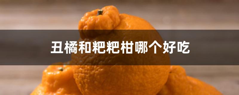 丑橘和粑粑柑哪个好吃