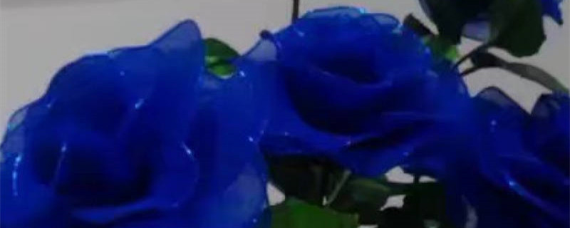 19朵蓝色妖姬的花语是什么意思，其余朵数的花语